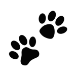 Animals Unite!!!