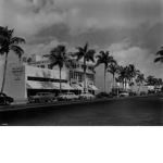 Trafficante's crime family