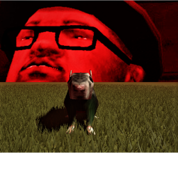 Disgusting Rats