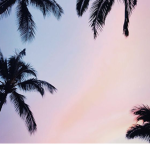 Beach vibes forever200
