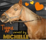 Horse lovers and ownerz!!!!!