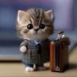 Trumaxo Studios