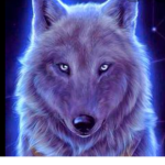 Wolves are cute!!!