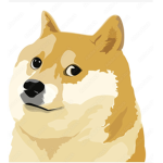Doge Ohio