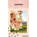 -sweetly-