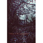 _The Neighborhood_
