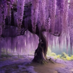 Lavender Lounge