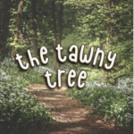 The Tawny Tree