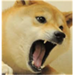 Screaming Doge pack