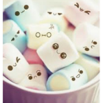 Fluffy Marshmallows