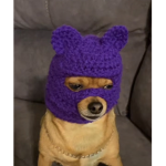 swaggycatss