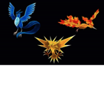 Team Vallen