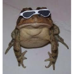 P H R O G Army