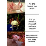 axolotl memesbroS