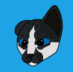 || !Navys Clan! ||