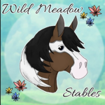 | Wild Meadow Stables |