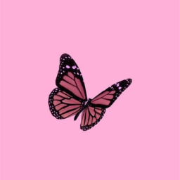 𝐬𝐡𝐞'𝐬