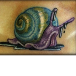 find the snails 26