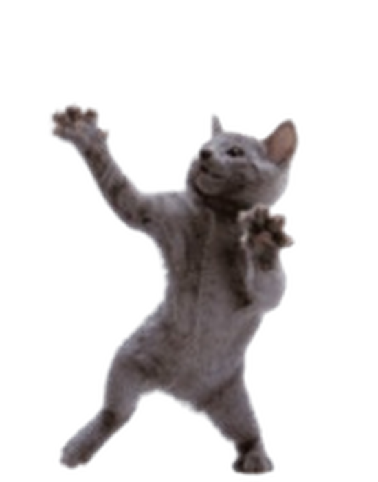 Funni Cato Buddy  preview 1