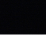 Shark G.I.O