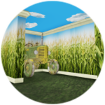 Visited "Corn Rooms"