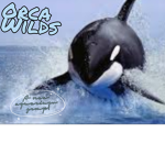 |+|Orca ~ Wilds|+|