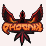 ThePhoenixCrazyGroups