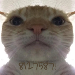 Mr. breads