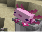 Ratz Ratz Ratz