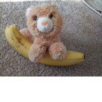 Kitty and bananas