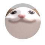 Popcat best
