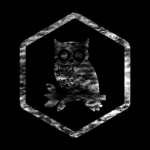 Caelus Labs