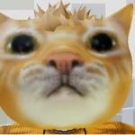 Julius pro