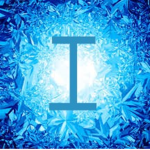 Icez Fans