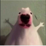Blackalexxx