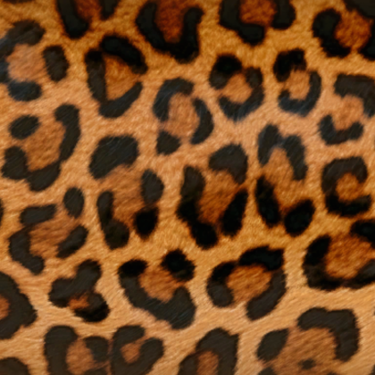 Leopard Cheetah Print Fur