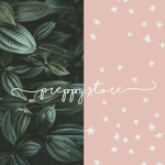 PREPPY ST0RE.