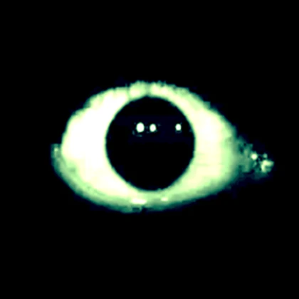 Mort Horror Roblox group icon