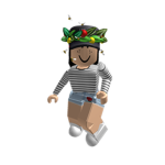 bloxburg fan team
