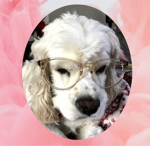 Woof Dog Army