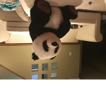Panda Bro’s
