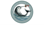 The Narwhal Court