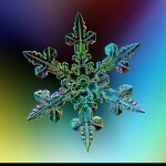 "I read all my messages"