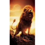 The lion rangers