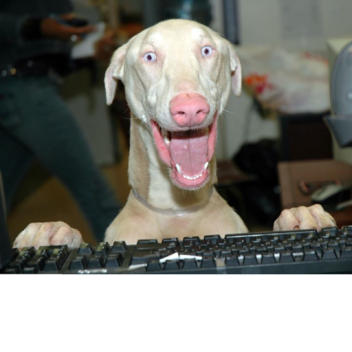 Escape the Scary Dog Obby