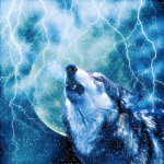 Lilttle Strom Wolf