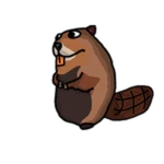 Beaver Chomik