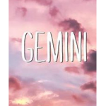 GeminiLivesmatter