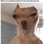 Woofwooff