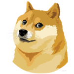 Doge_clothing